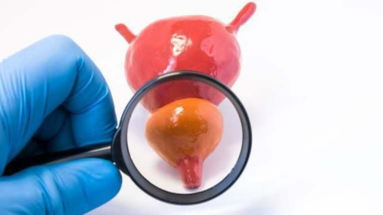 para que serve a próstata